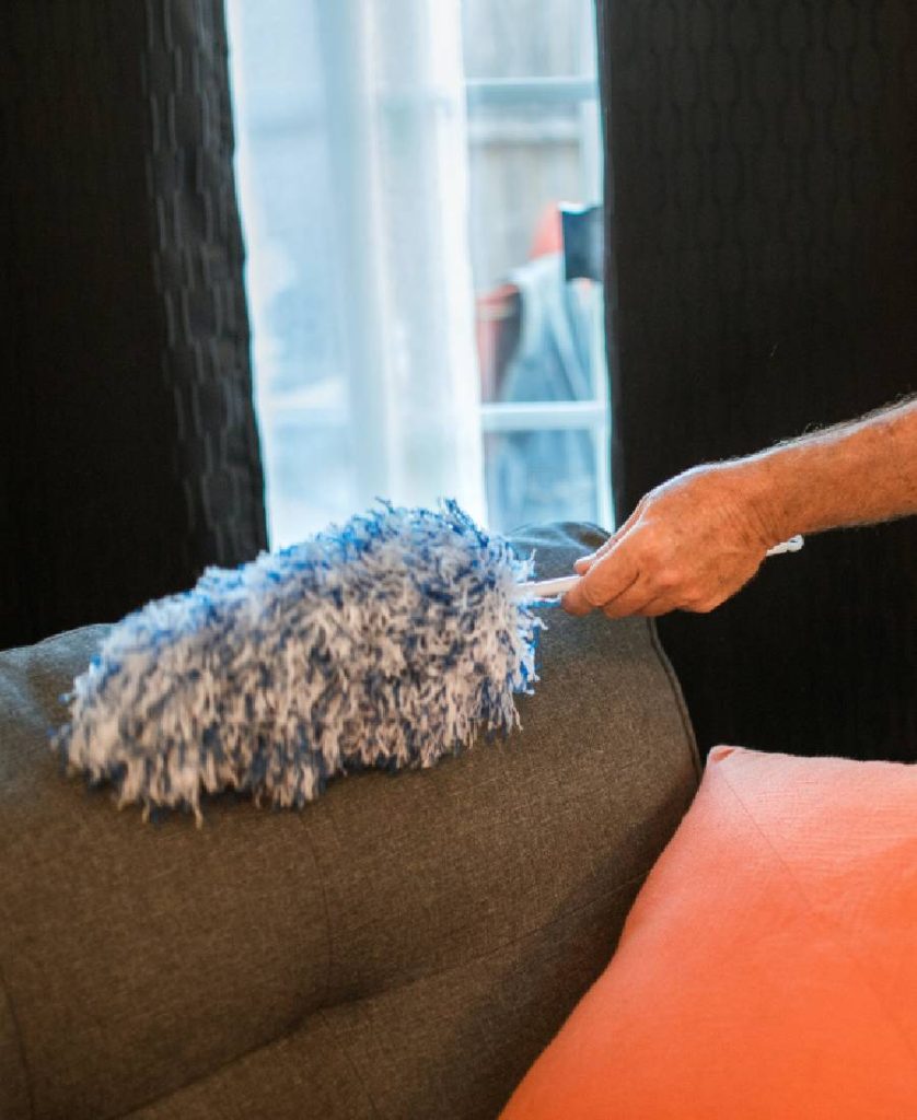 Best sofa cleaning services near me Sofa carpet cleaning cost