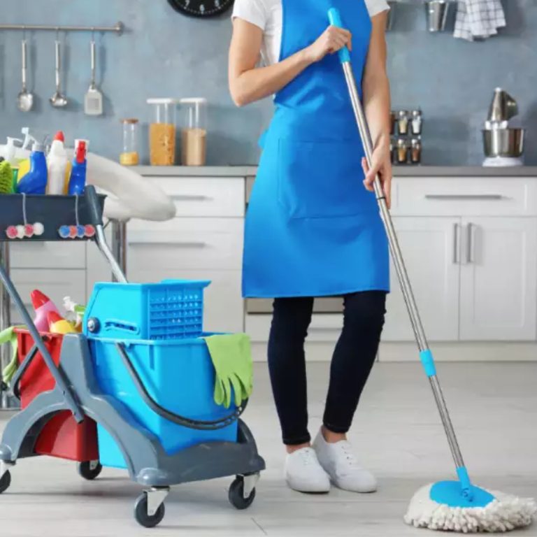 Professional Kitchen Cleaning Service Kitchen Deep Cleaning