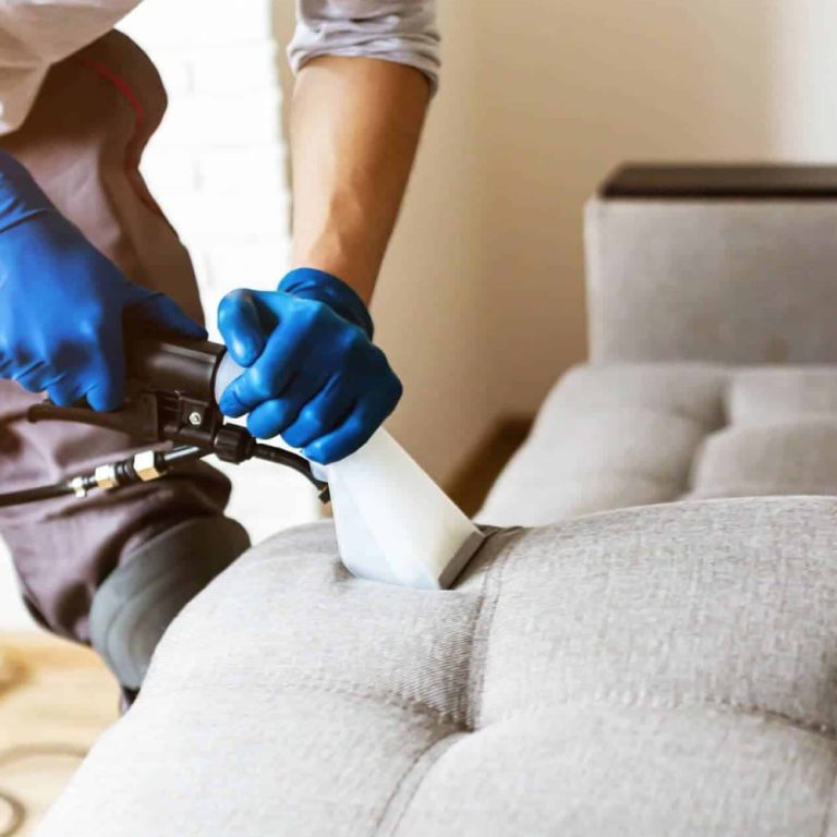 Best sofa cleaning services near me Sofa carpet cleaning cost
