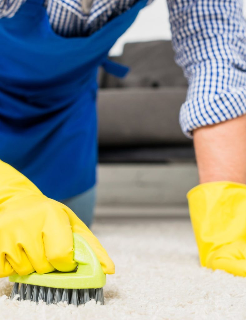 Best sofa cleaning services near me Sofa carpet cleaning cost