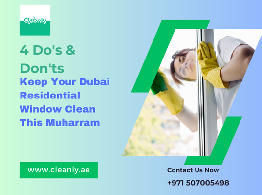 Window Cleaning Service