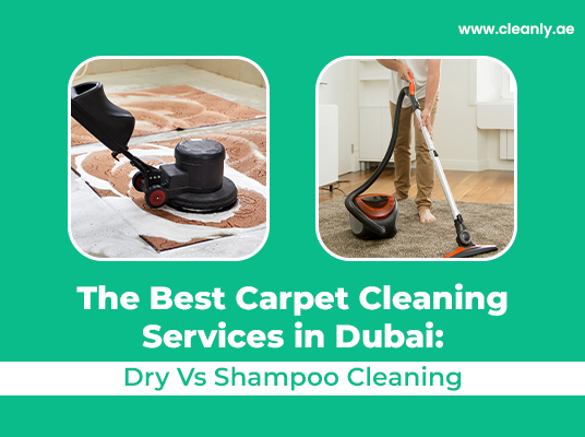 Carpet Cleaning Service