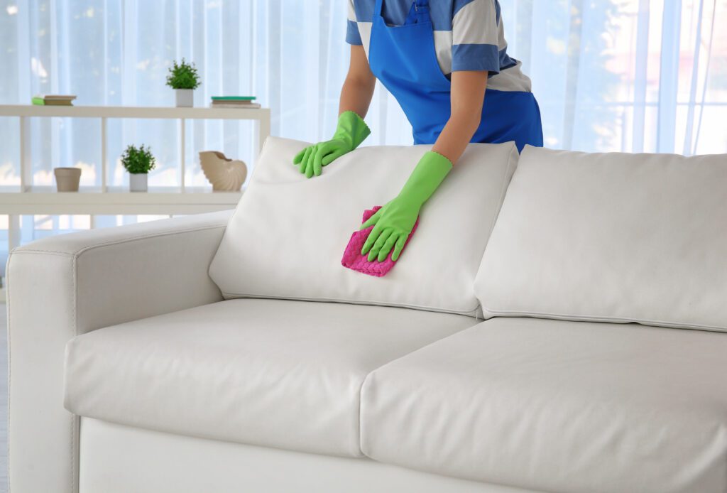 Sofa Cleaning Services Near Me